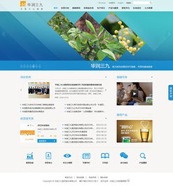醫藥企業如何通過網站建設，鑄就卓越品牌形象